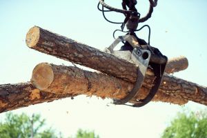 ЕкоДоска погрузка пиломатериалов